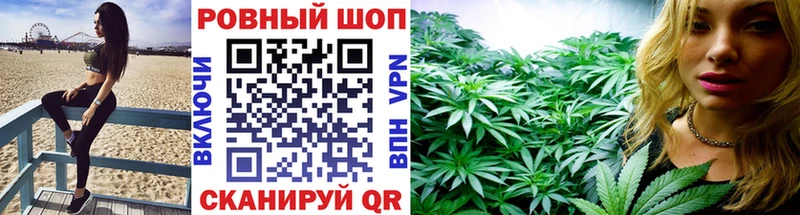 Где купить наркоту Егорьевск A PVP ГАШ MDMA КОКАИН Псилоцибиновые грибы Канабис Амфетамин