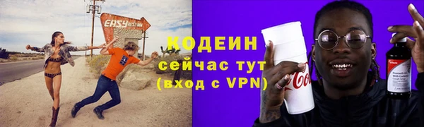 индика Семикаракорск