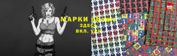 прущие грибы Алзамай
